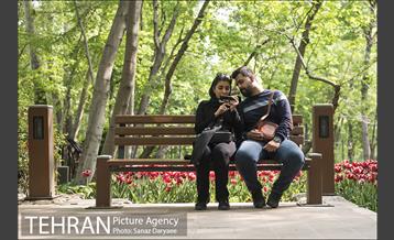 بوستان باغ ایرانی 12
