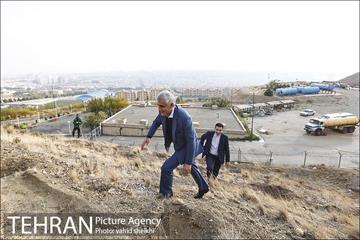 بازدید شهردار تهران از پروژه درختکاری کمربند سبز تهران  5