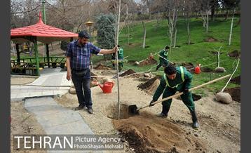 مراسم درختکاری به مناسبت روز مادر 56
