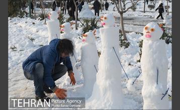 جشنواره مجسمه های برفی 17