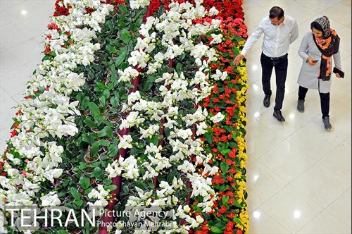 شانزدهمین نمایشگاه بین المللی گل و گیاه تهران - 2 39
