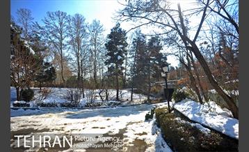 فصل زمستان در بوستان ملت 10