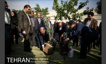 آئین درخت کاری به مناسبت تولد گاندی 14