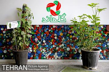 طرح گلماند در منطقه 18