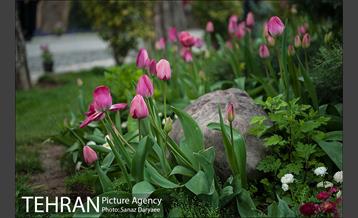 باغ موزه هنر ایرانی‎ 4