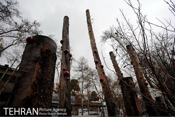 بارش باران در تهران 3