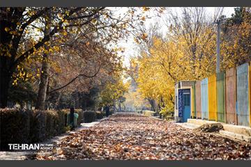 گذرگاه های پاییزی پایتخت - منطقه 14