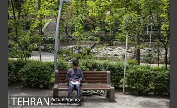 بوستان ساعی 8