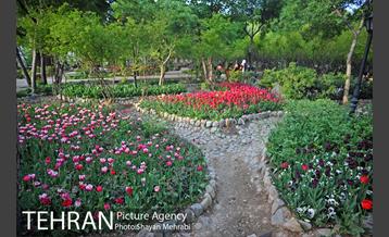 باغ ایرانی (بوستان مهندس مختاری) 20