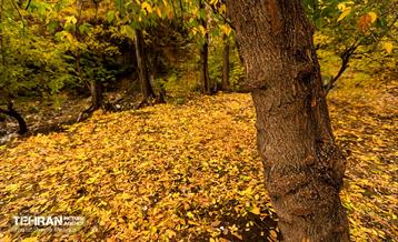 رود دره فرحزاد 45