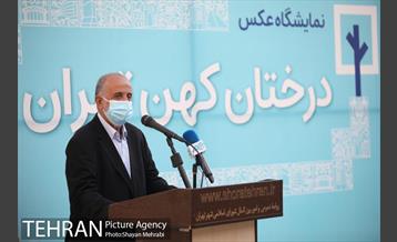 آیین نکوداشت درختان بالای صد سال تهران 8