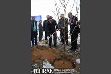 مراسم روز درختکاری با حضور شهردار تهران و رئیس مجلس 24