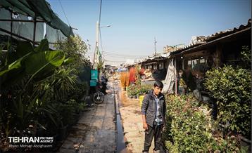 بازار گل شهید محلاتی در آخرین روزهاى سال 32