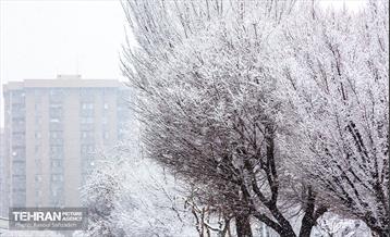 روز برفی در منطقه 6