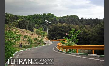 پارک جنگلی لویزان‎ 34