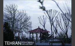 شب های آرام تهران 8