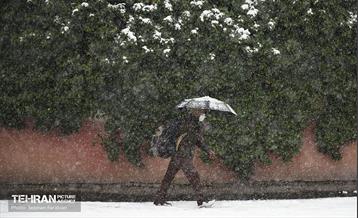 بارش اولین برف زمستانی در تهران 13