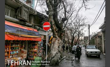 محله ده ونک 16