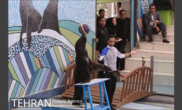 مراسم اختتامیه جشنواره یاد یار مهربان 15