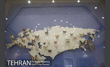 موزه طبیعت و حیات وحش ایران دارآباد‎ 18