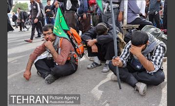 شوق دیدار 14