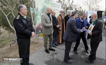 جشن درختکاری در منطقه ۵ 12