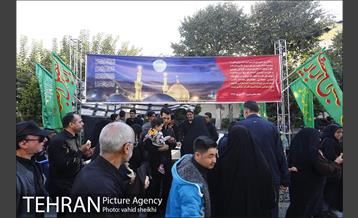 پیاده روی جامندگان اربعین حسینی (ع) در تهران 10