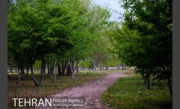 باغ گیاه‌شناسی ملی ایران 23