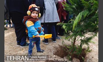 مراسم کاشت نهال در هفته منابع طبیعی (درخت فرهنگ و هنر) 20