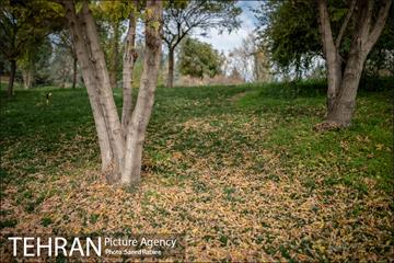 پاییز زیبای پایتخت- 3