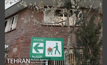 شهرنگار - محله اختیاریه 12