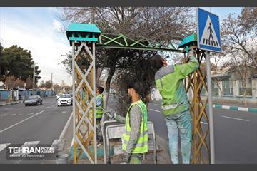 استقبال از بهار - 5 34