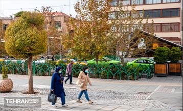 سمفونی رنگ های پاییزی  7