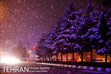 بارش برف در تهران  8