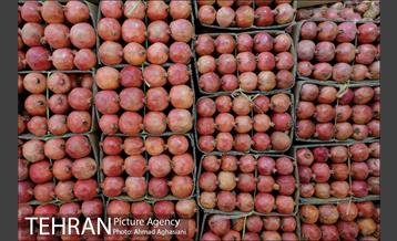 هفتمین جشنواره انار فرهنگسرای اشراق 17