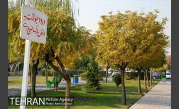 بوستان بنفشه 17