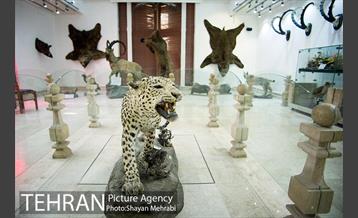 موزه طبیعت و حیات وحش دارآباد تهران 14