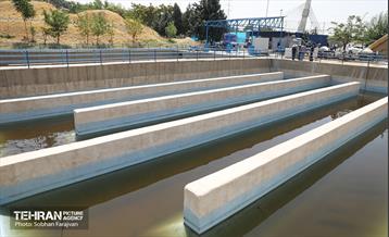 شصت‌وسومین پویش امید و افتخار 17