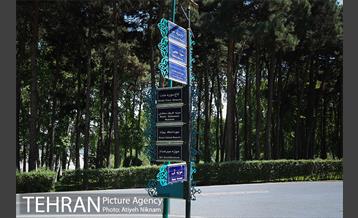 مجموعه سعد آباد 3