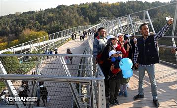 همایش‌ پیاده‌روی خانوادگی کارکنان شهرداری تهران 28