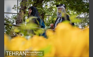 لاله های باغ ایرانی 23