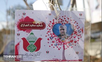 آیین کاشت 1310 نهال در منطقه 5 2