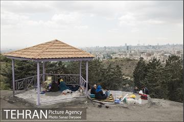 بوستان جنگلی لویزان 23