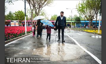 جشنواره لاله‌ها در بوستان زندگی محله هرندی 19