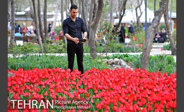 روش گل های لاله در باغ ایرانی 10