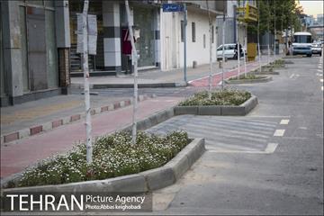پارک خودرو‌ بین درختان چنار 21