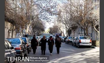 مراسم نام گذاری کوچه شهید روبرت لازار 29