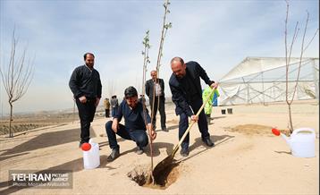 بهره‌برداری از فاز دوم طرح جنگلکاری کمربند سبز 4