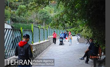 بوستان نهج البلاغه (فاز١) 17