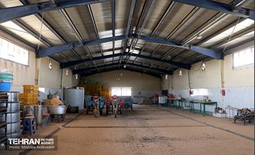 بازدید شهردار تهران از موکب علی ابن موسی الرضا(ع) و صاحب الزمان(عج)